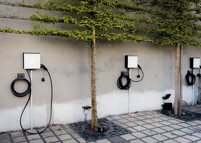 Golden Tree Hotel